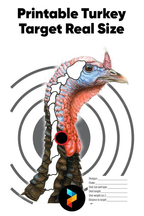 free printable turkey target printable|real size turkey printables.